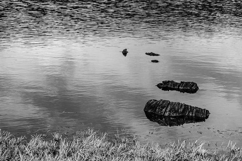 2019_02_09_Lac de Panneciere (0018).jpg - Lac de Pannecière (Février 2019)